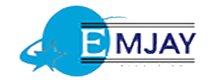 Emjay industries